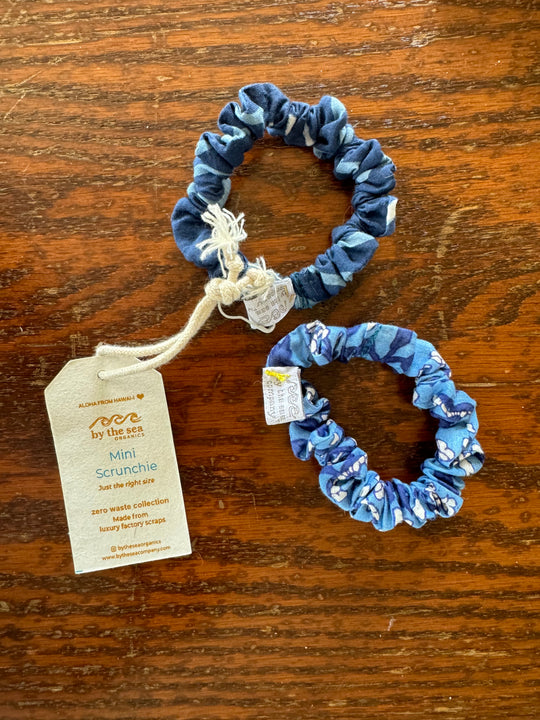 MINI SCRUNCHIE- Due 9-16-2026