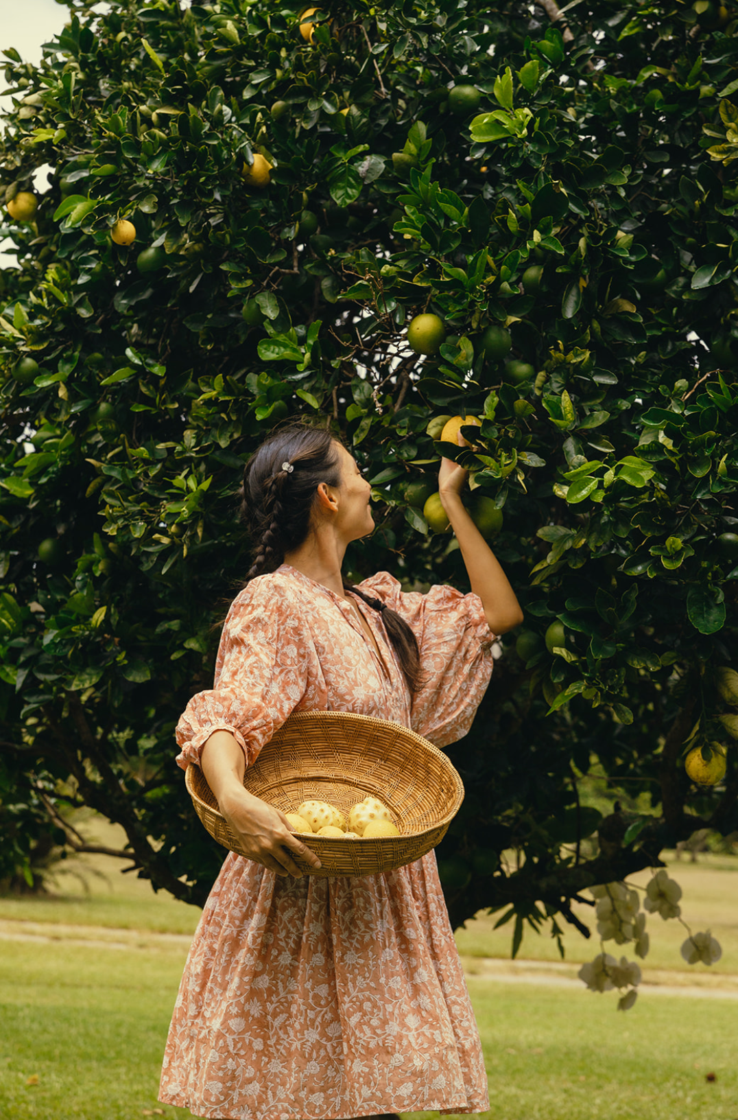 Waimea Canyon Dress