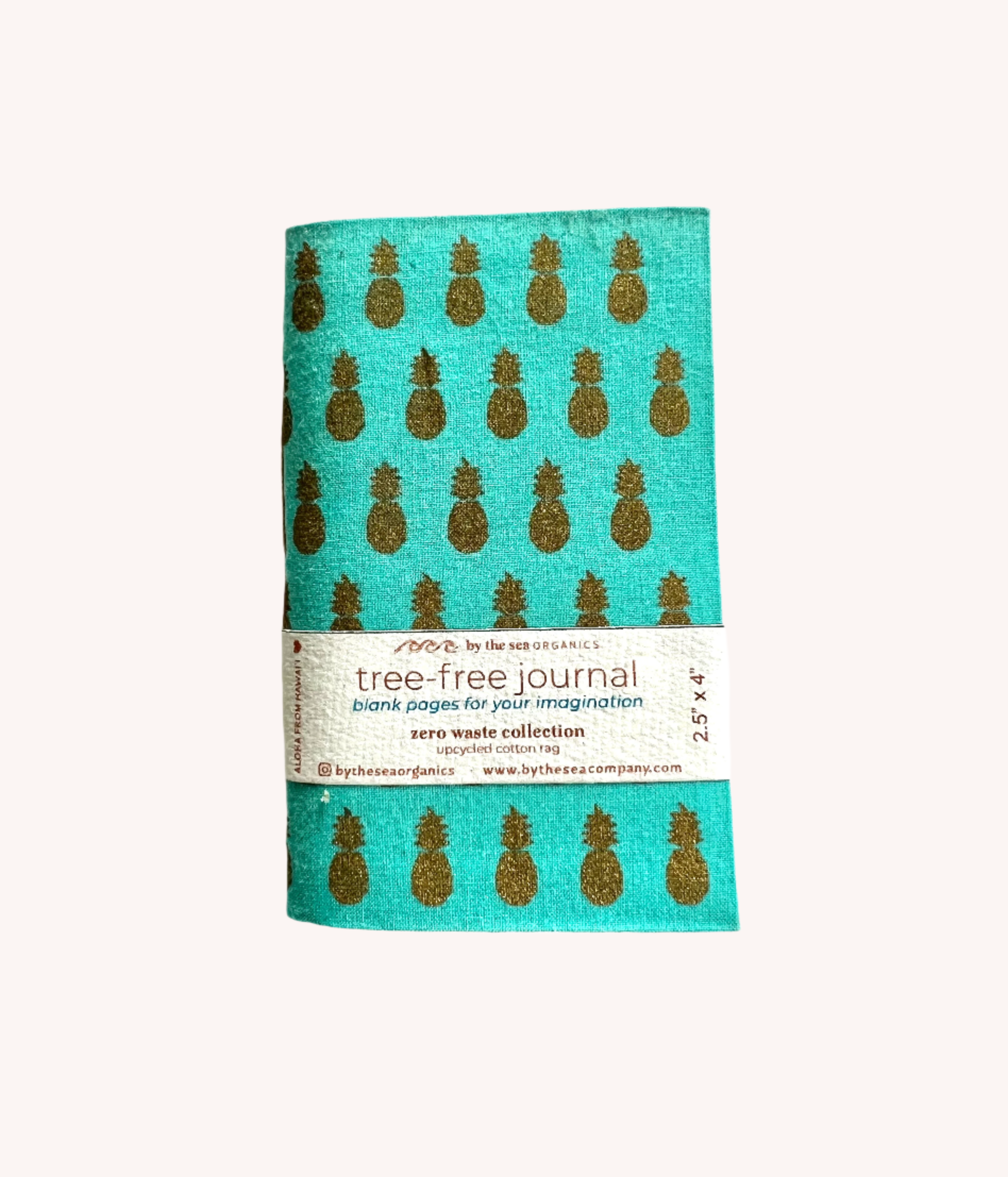 mini aqua pineapple journal